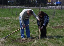Actions “Clean Environment” and “Plant a Tree”